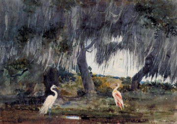 Animal Painting - En Tampa Realismo marino pintor Winslow Homer pájaros